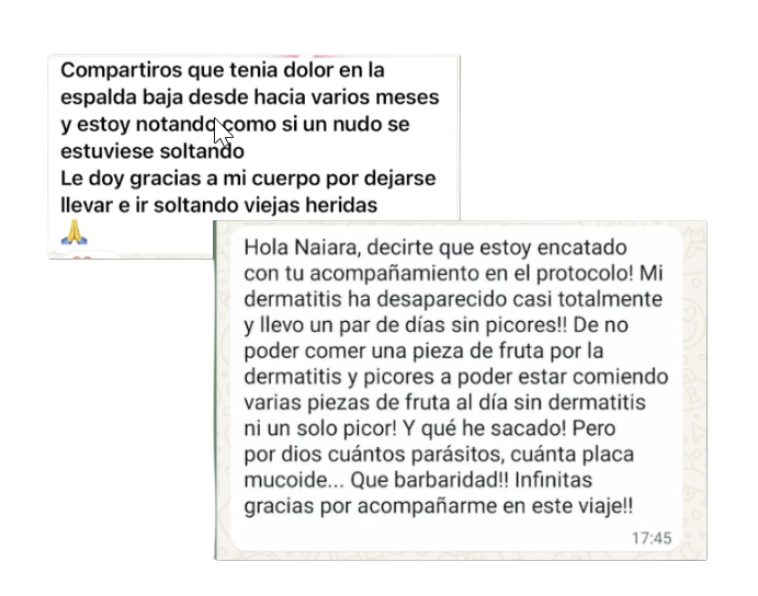 Testimonios de participantes del Protocolo Homeostasia